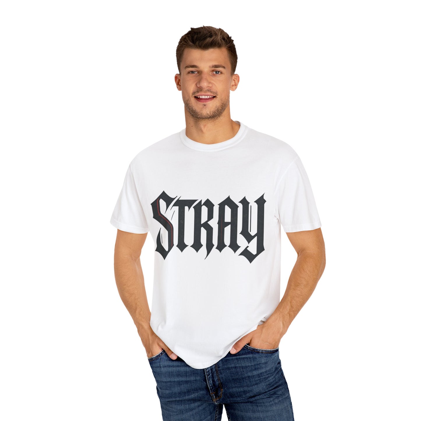 STRAY Basics
