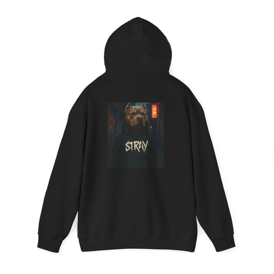 STRAY Basic