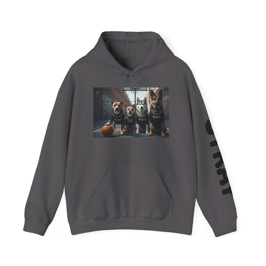 STRAY Gang